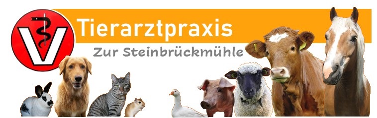 index.html